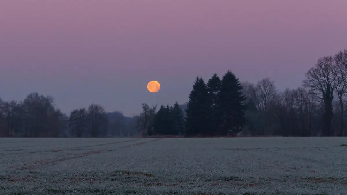 beautiful full moon sets over cold field with hoarfrost on a pink morning sky, Muensterland, Germany