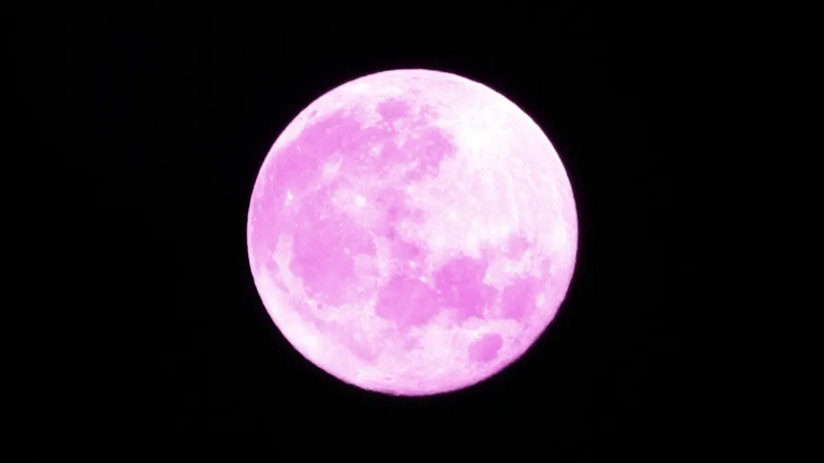 Bright and big pink full moon