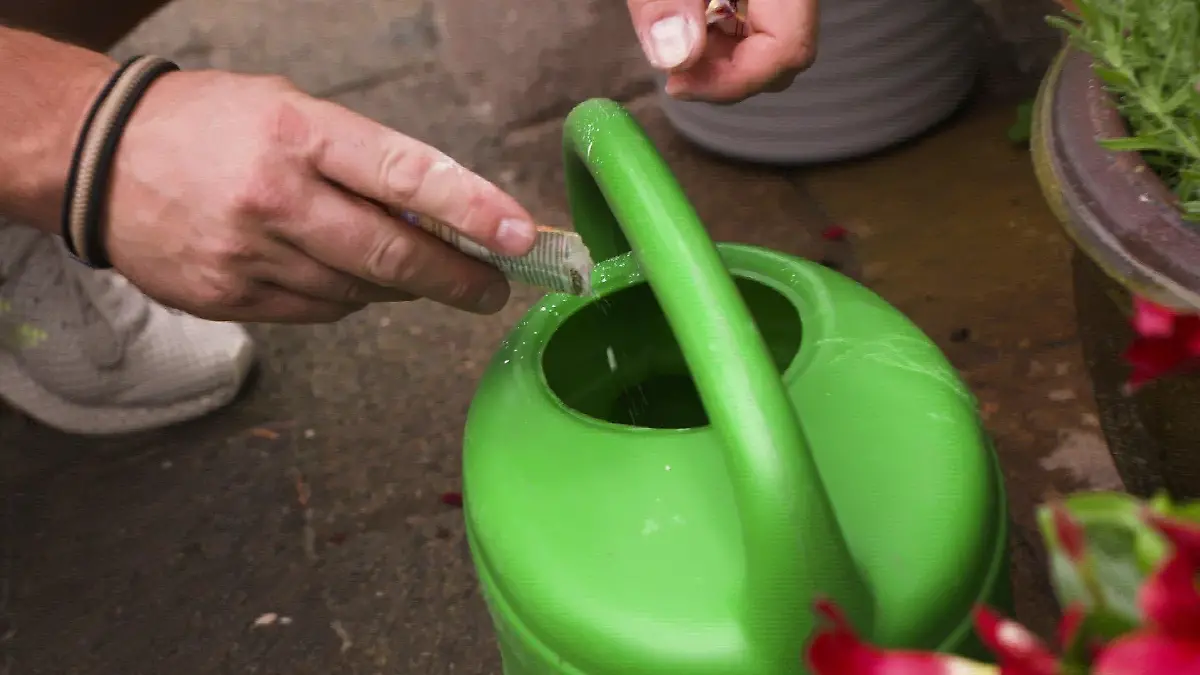 Mann streut Backpulver in Gießkanne
