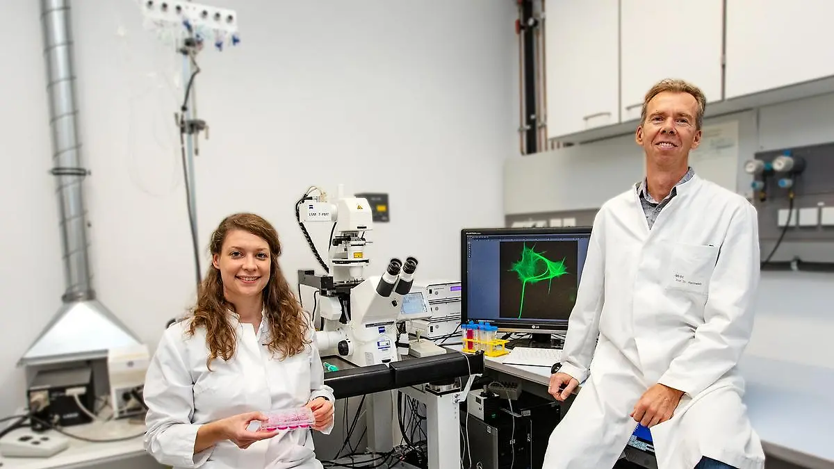 Dr. Josephine Labus und Professor Evgeni Ponimaskin im Labor des MHH-Instituts für Neurophysiologie. Auf dem Monitor ist eine Zelle mit dem pathologischen Tau-Protein zu sehen