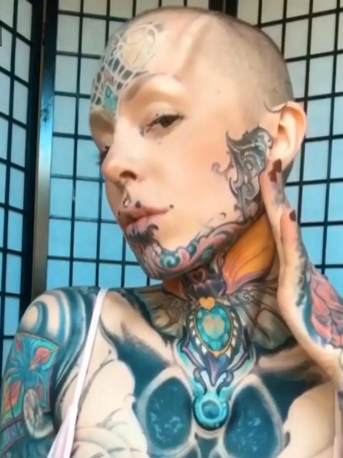 Lina L. kommt aus der Kleinstadt Spenge, bei Bielefeld, und lebt jetzt in den USA. Die junge Frau hat nicht nur über 100 Tattoos, sondern auch ein besonderes Faible für extreme Körper-Modifizierungen. Ihr Traum: Sie würde gerne aussehen wie ein Cyborg, einem ein Mischwesen aus Mensch und Roboter. Deshalb hat sich Lina Hörner implantieren lassen. Wie das aussieht, erfahren Sie im Video.