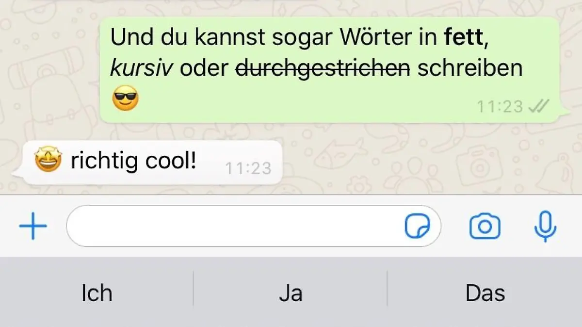 Screenshot WhatsApp Chatverlauf