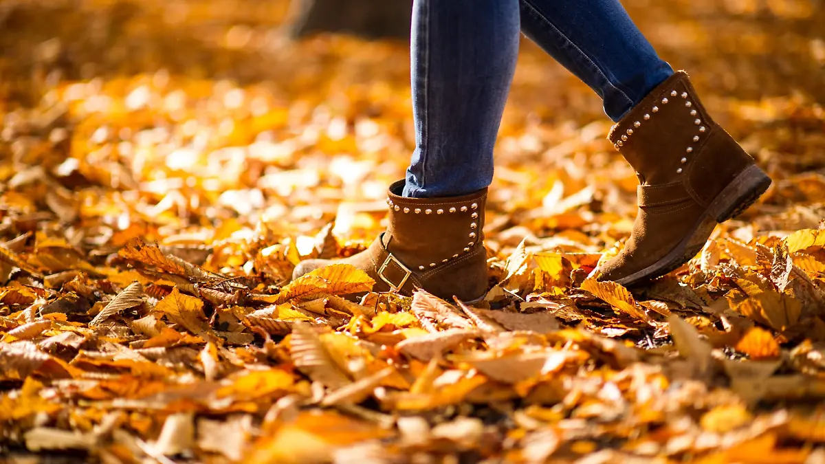 THEMENBILD - Herbst im Wiener Prater. Das Bild wurde am 27. Oktober 2013 aufgenommen. im Bild Stiefel einer Spaziergaengerin im Laub // THEMES PICTURE - Autumn at Prater in Vienna. The image was taken on october, 27th, 2013. Picture shows Boots of a Woman walking throug leaves , AUT, EXPA Pictures © 2013, PhotoCredit: EXPA/ Michael Gruber - 20131027_PD1849