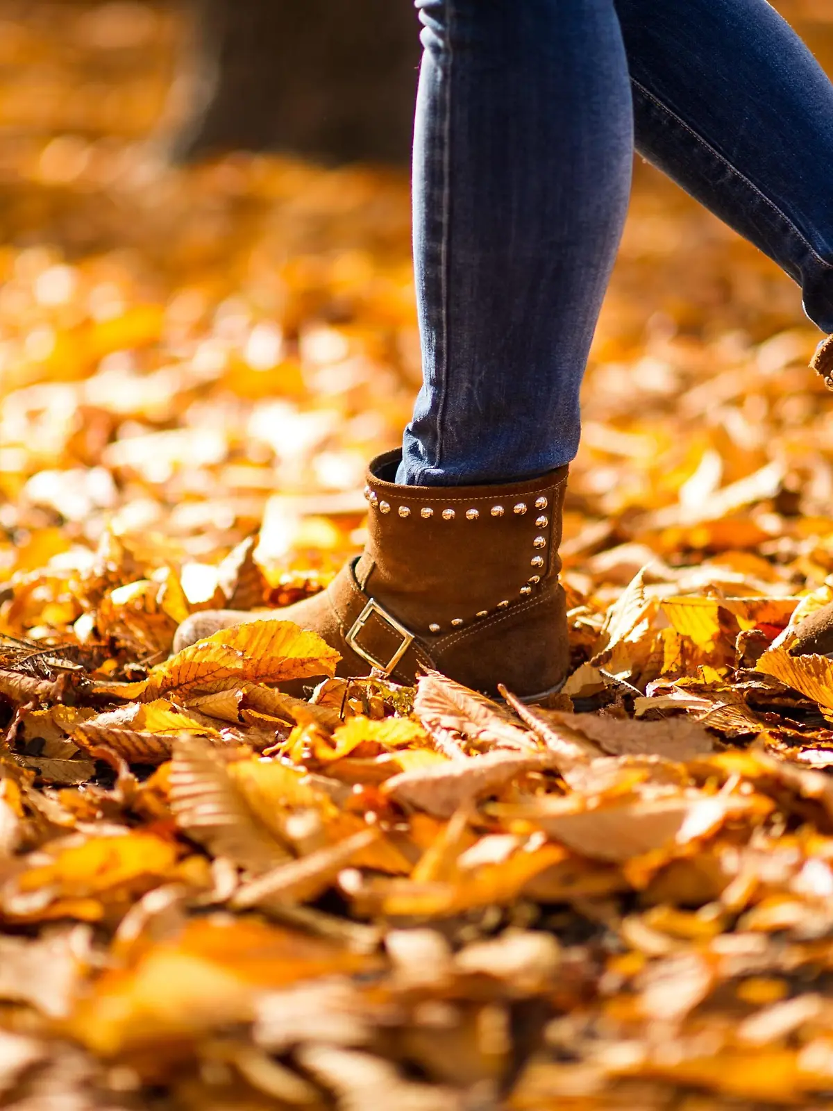 THEMENBILD - Herbst im Wiener Prater. Das Bild wurde am 27. Oktober 2013 aufgenommen. im Bild Stiefel einer Spaziergaengerin im Laub // THEMES PICTURE - Autumn at Prater in Vienna. The image was taken on october, 27th, 2013. Picture shows Boots of a Woman walking throug leaves , AUT, EXPA Pictures © 2013, PhotoCredit: EXPA/ Michael Gruber - 20131027_PD1849