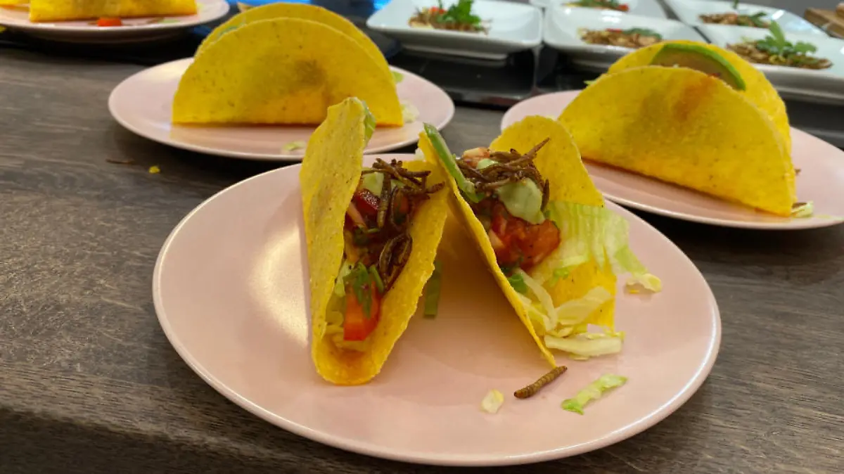 Tacos mit Mehlwürmern