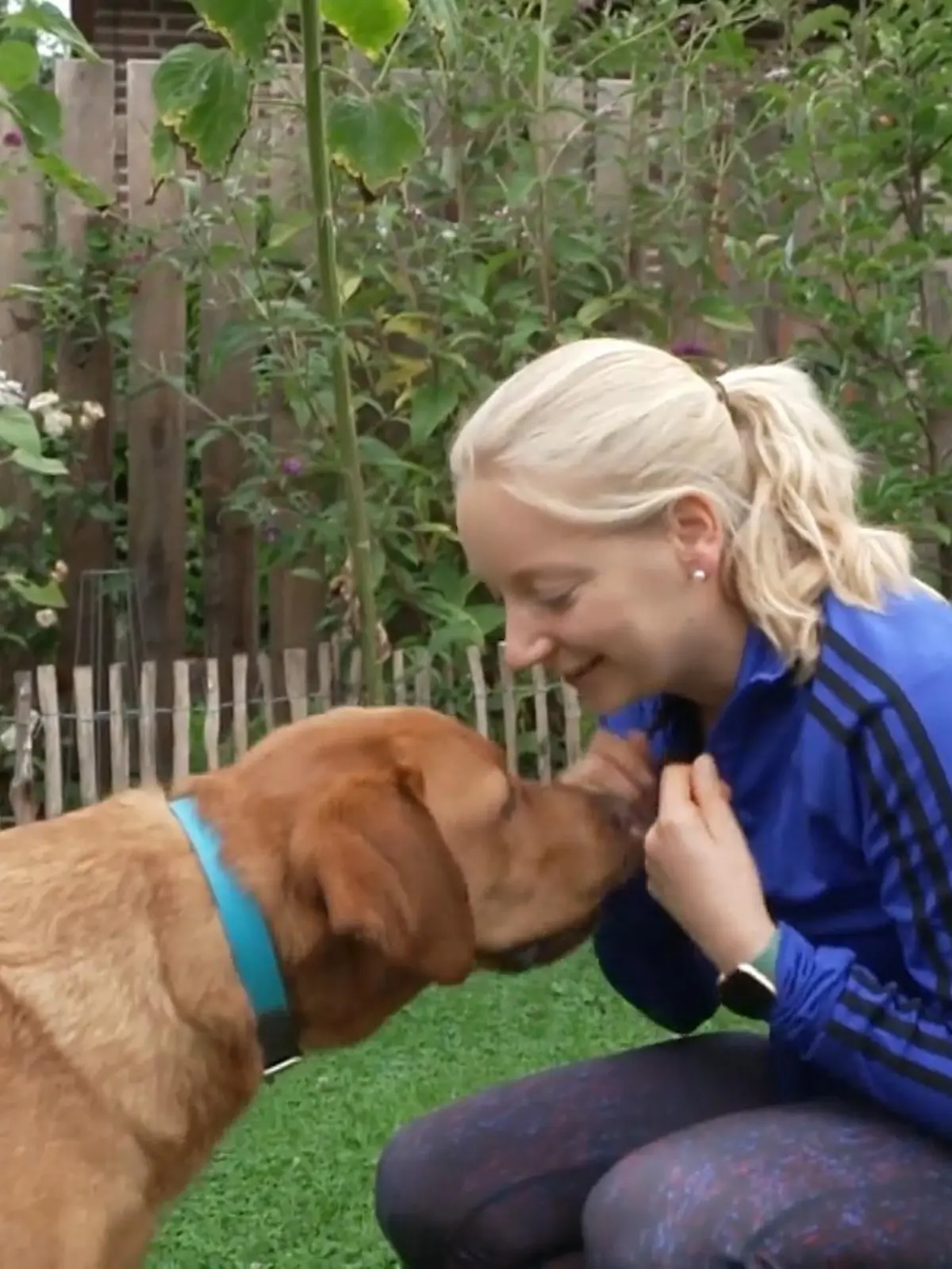 Er ist süß, er ist flauschig und er ist wortwörtlich ein Alltagsheld: Hund Ari. Der Labrador ist nämlich Assistenzhund und hilft Frauchen Karolin Bartels im Alltag. Die 30-Jährige hat vor acht Jahren einen schweren Autounfall, muss damals mehrfach reanimiert werden. Seitdem funktioniert ihr Herz nicht mehr so wie es soll – Kammerflimmern sind die Folge. Und die können Karolin sogar das Leben kosten.