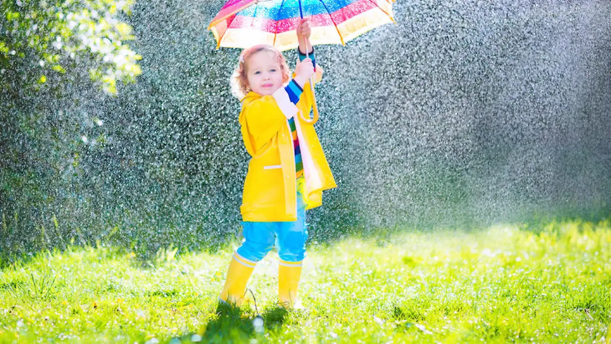 Funny cute curly toddler girl wearing yellow waterproof coat and boots holding colorful umbrella playing in the garden by rain and sun weather on a warm autumn or sumemr day
