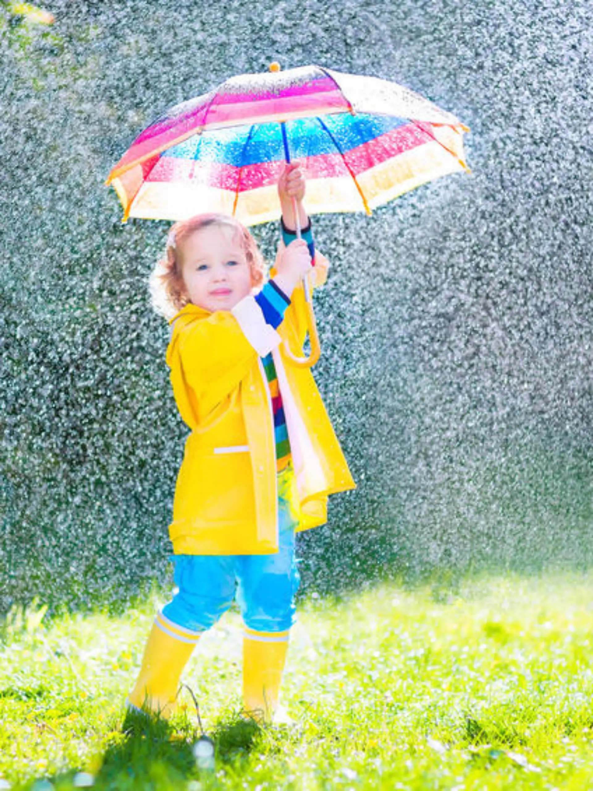 Funny cute curly toddler girl wearing yellow waterproof coat and boots holding colorful umbrella playing in the garden by rain and sun weather on a warm autumn or sumemr day