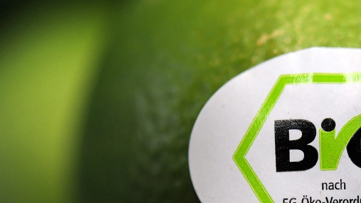 Limetten mit Bio-Siegel sind am Mittwoch (15.02.2012) an einem Stand auf der BioFach-Messe 2012 in Nürnberg (Mittelfranken) ausgestellt. Die Leitmesse für die Biobranche öffnet vom 15. bis 18. Februar in Nürnberg ihre Pforten für Fachbesucher aus aller Welt. Sie können sich auf der "Biofach" sowie der angeschlossenen Naturkosmetikmesse "Vivaness" bei 2.410 Ausstellern über aktuelle Produkte und Trends informieren. Foto: David Ebener dpa/lby  +++(c) dpa - Bildfunk+++