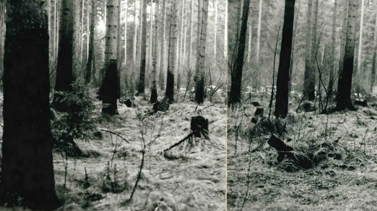 Mordfall Cornelia G. Leichenfundort