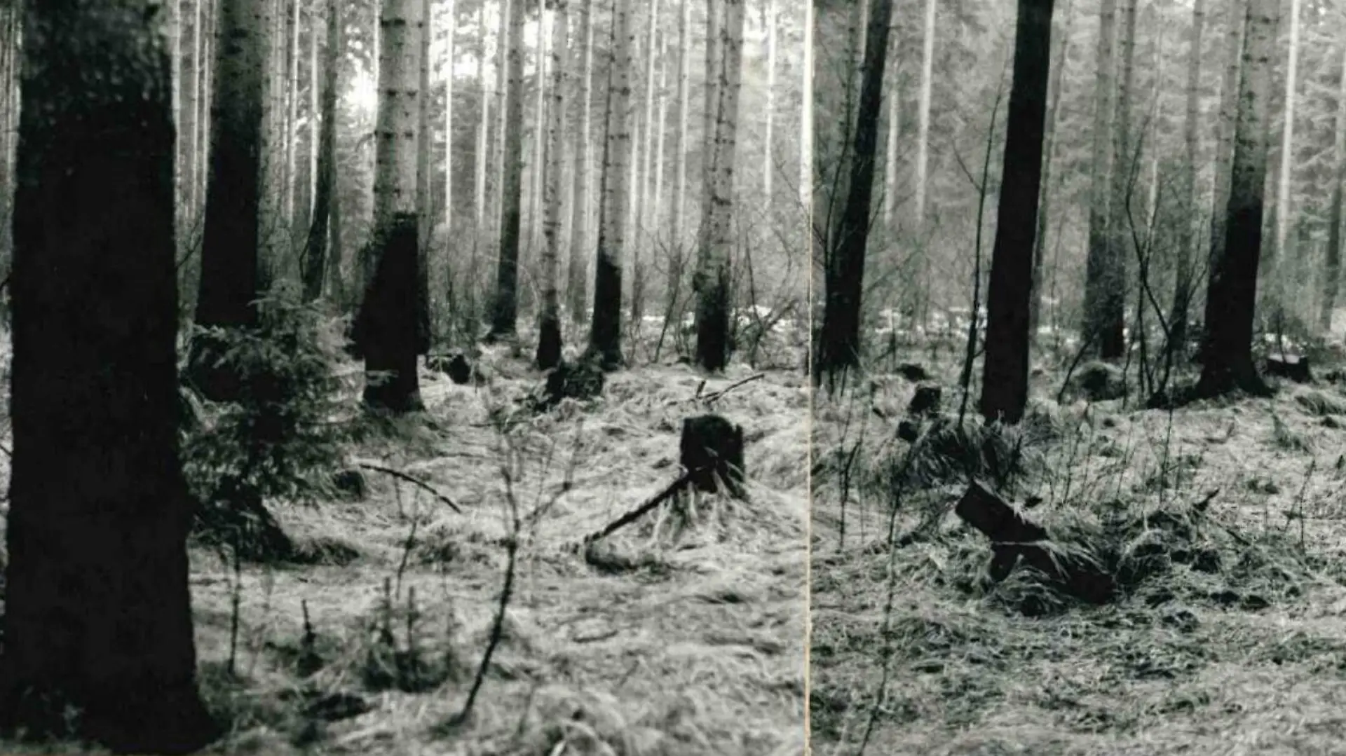 Mordfall Cornelia G. Leichenfundort