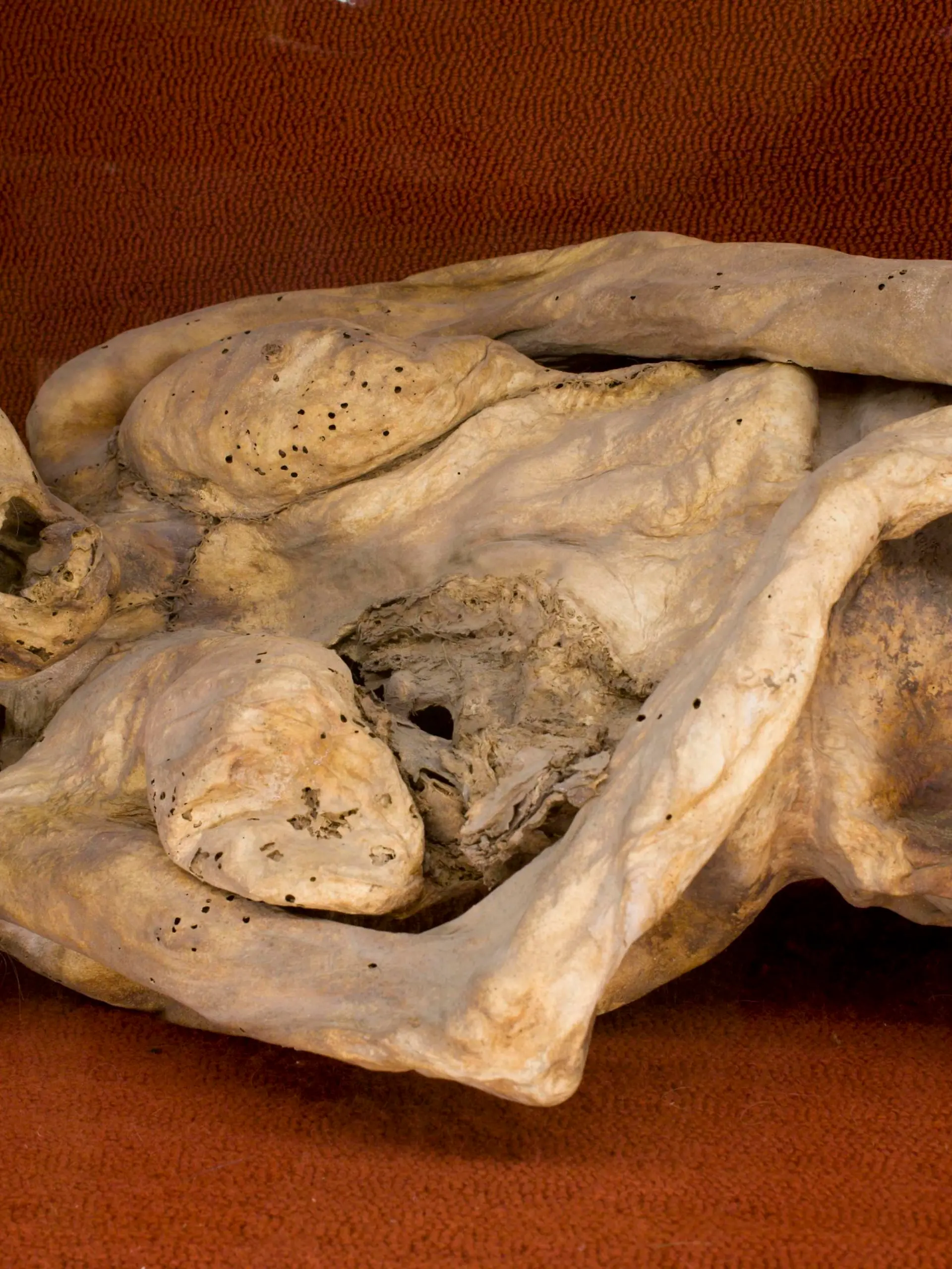 Mumie im Mumienmuseum, Guanajuato, Mexiko, Mittelamerika