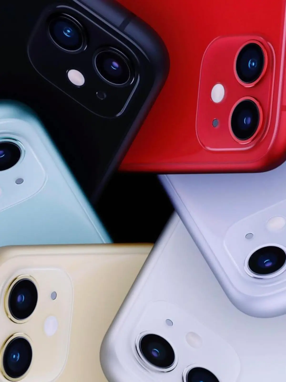 iPhone 11 von Apple