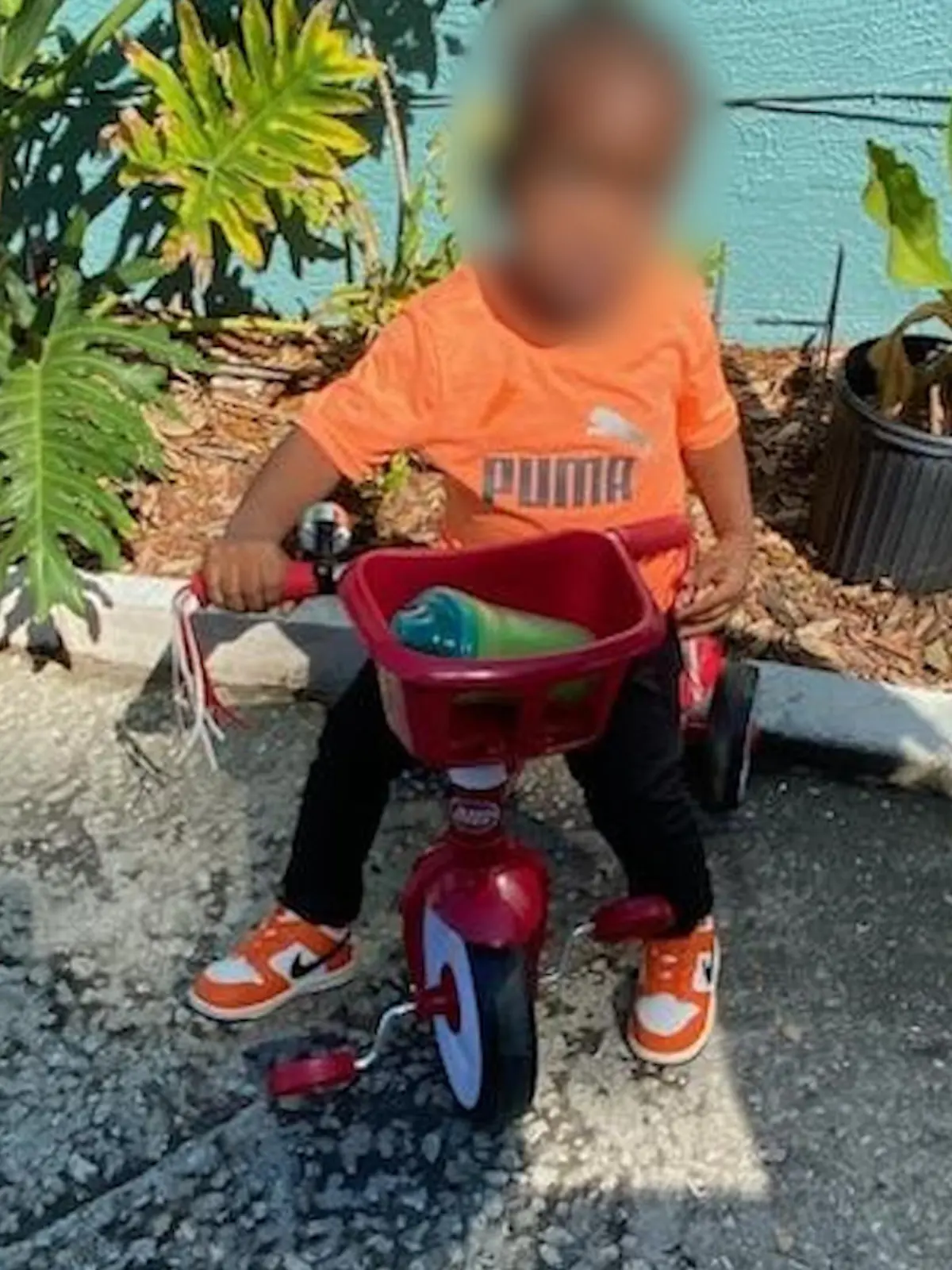 Bis zuletzt suchen Polizisten in Florida nach dem zweijährigen Taylen – doch ihre Mühen sind vergebens. Am Donnerstag wird eine 20-jährige Mutter tot aufgefunden, ihr zweijähriger Sohn wird vermisst. Nach stundenlanger Suche finden die Polizisten den Jungen schließlich. Tot – im Maul eines Alligators. 