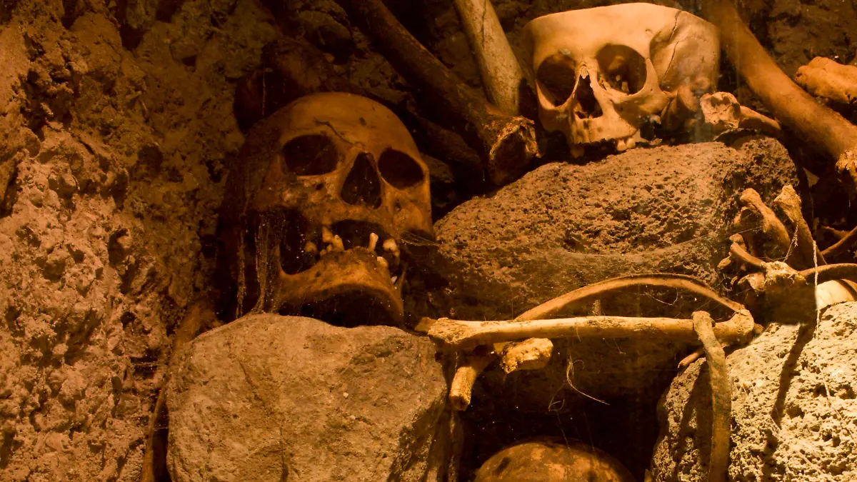 Schädel und Knochen im Mumienmuseum, Guanajuato, Mexiko, Mittelamerika