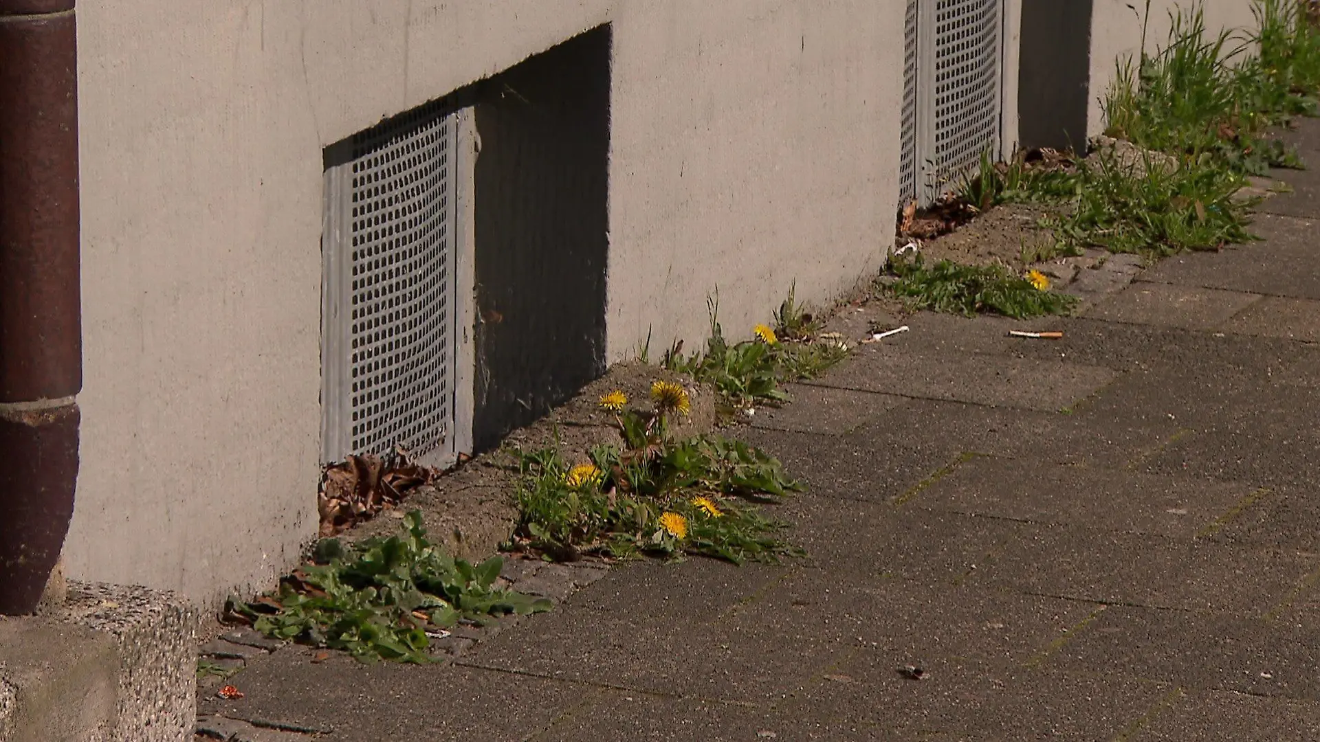 In diesem Keller soll die tote Frau gefunden worden sein.