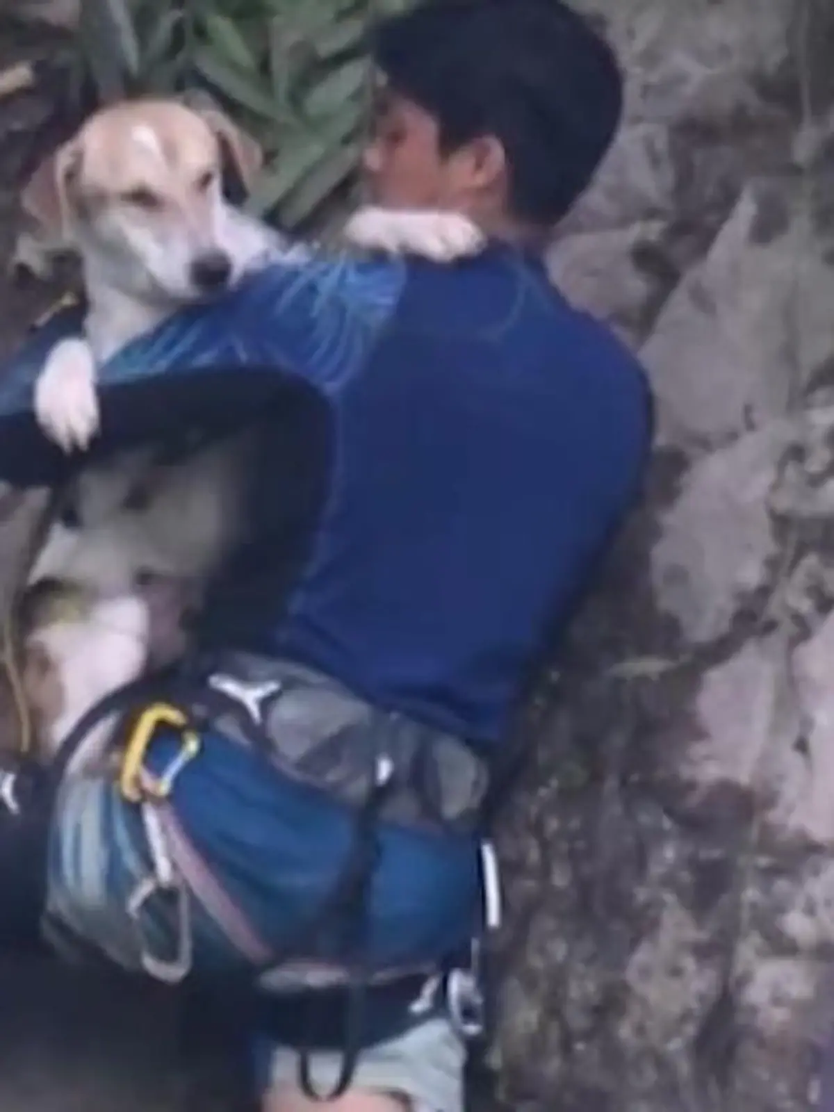In Kuala Lumpur in Malaysia befindet sich ein streunender Hund in einer wirklich misslichen Lage. Denn der Vierbeiner ist an einer Felswand gefangen. Um ihn zu befreien, begeben sich die Retter laut eigener Aussage zu einem der schwierigsten Einsätze der letzten zehn Jahre. Welchen Herausforderungen sich Retter Francis Poh und seine Kollegen stellen müssen, erfahren Sie im Video.