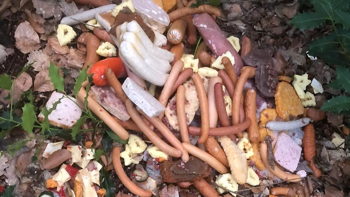 Wiener Würstchen, Kroketten, Fleischkäse, eine komplette Schweinelende, panierte Schnitzel, kleine Bockwürste, Scheibenwurst und Käse - alles im Wald entsorgt.