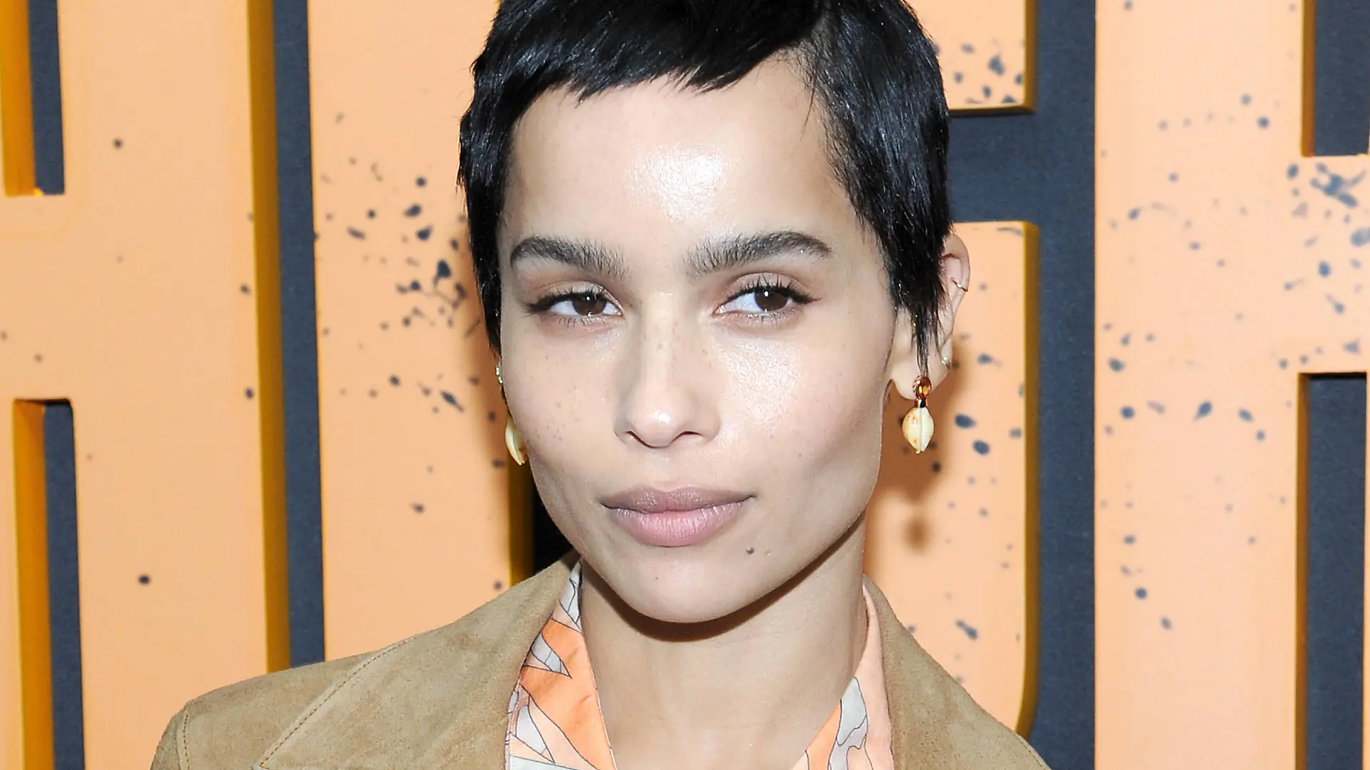 New York premiere of High Fidelity at The Metrograph Featuring: Zoe Kravitz Where: New York, United States When: 13 Feb 2020 Credit: Julie Shea/Cover Images PUBLICATIONxNOTxINxUKxFRA Copyright: xx 40282636
