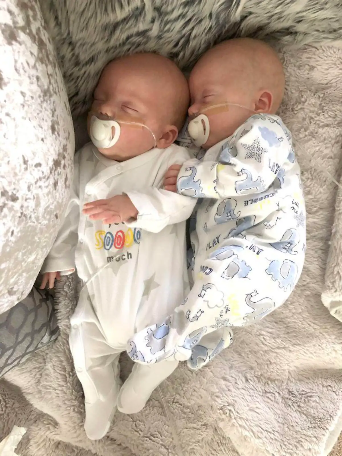 Zwillinge Oscar & Dylan.