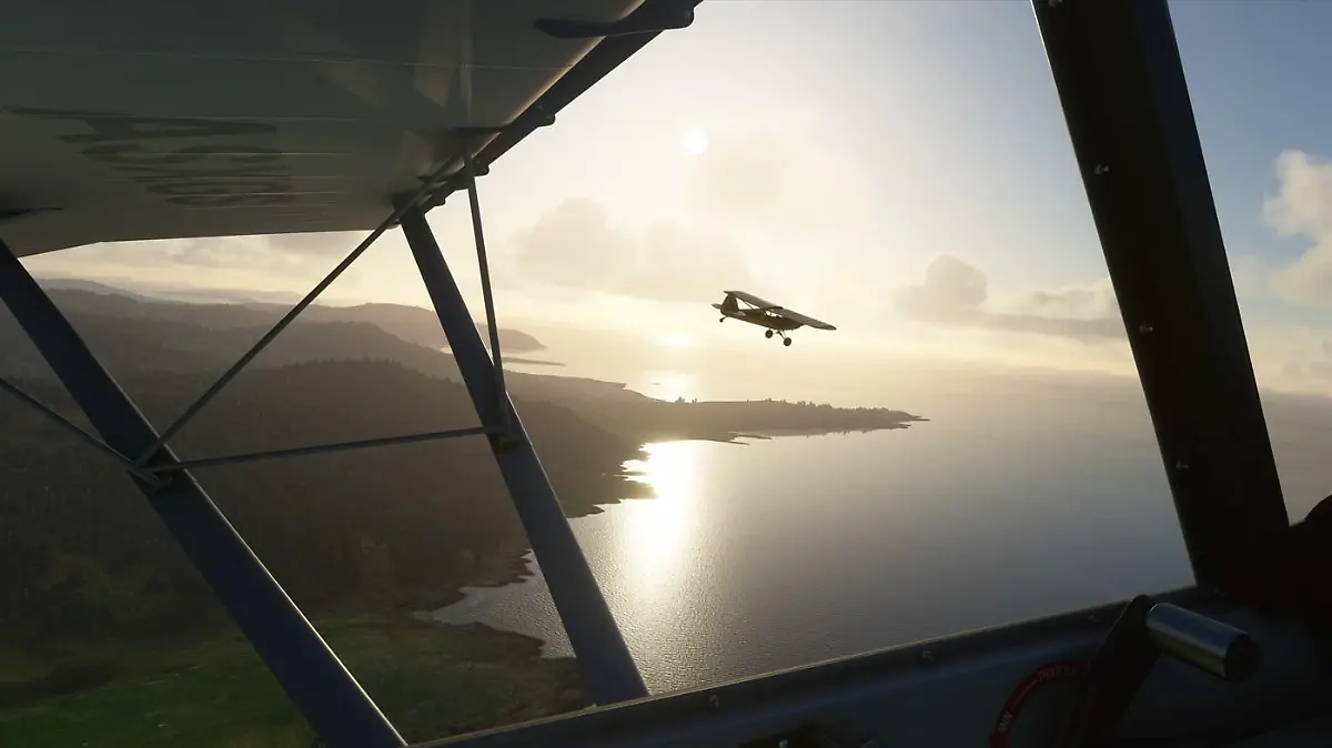 MS Flight Simulator