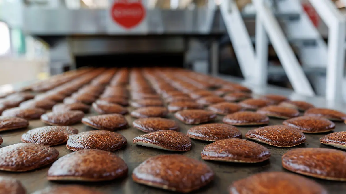 PRODUKTION - 16.08.2023, Bayern, Nürnberg: Frisch gebackene Lebkuchen laufen auf einem Band aus einem Ofen in der Produktion des Lebkuchenherstellers Schmidt. Es sind noch vier Monate bis Weihnachten, doch die Produktion von Lebkuchen, Stollen, Schoko-Nikoläusen und anderen Spezialitäten läuft längst auf Hochtouren. Bei Lebkuchen Schmidt backen die Öfen zurzeit an sechs Tagen in der Woche rund um die Uhr die traditionellen Nürnberger Lebkuchen und anderes Gebäck. (zu dpa: «Lebkuchen, Printen, Stollen - Produktion läuft auf Hochtouren») Foto: Daniel Karmann/dpa +++ dpa-Bildfunk +++