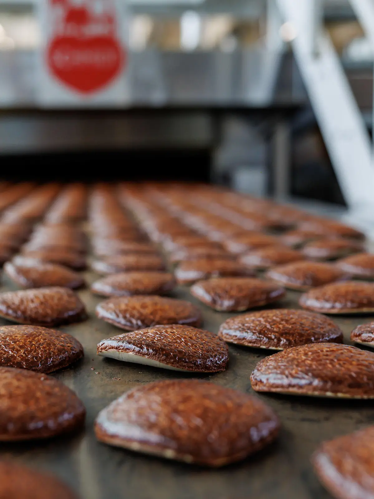 PRODUKTION - 16.08.2023, Bayern, Nürnberg: Frisch gebackene Lebkuchen laufen auf einem Band aus einem Ofen in der Produktion des Lebkuchenherstellers Schmidt. Es sind noch vier Monate bis Weihnachten, doch die Produktion von Lebkuchen, Stollen, Schoko-Nikoläusen und anderen Spezialitäten läuft längst auf Hochtouren. Bei Lebkuchen Schmidt backen die Öfen zurzeit an sechs Tagen in der Woche rund um die Uhr die traditionellen Nürnberger Lebkuchen und anderes Gebäck. (zu dpa: «Lebkuchen, Printen, Stollen - Produktion läuft auf Hochtouren») Foto: Daniel Karmann/dpa +++ dpa-Bildfunk +++