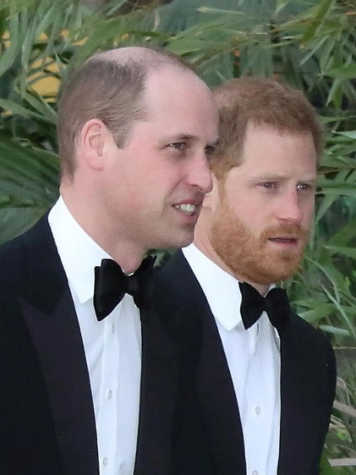 Zwischen Prinz Harry und Prinz William soll Eiszeit herrschen
