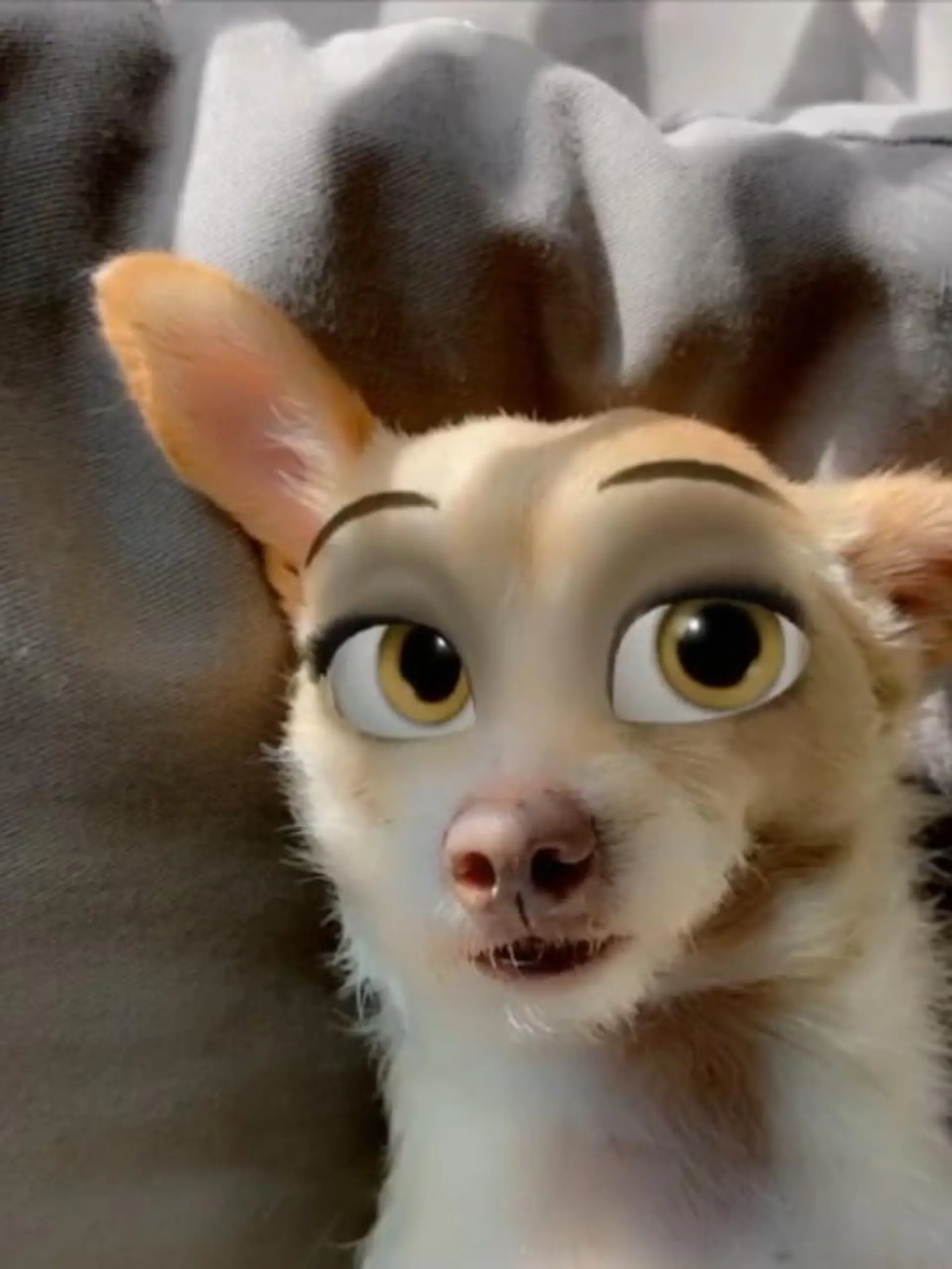 Hm, was ist denn hier los? Sind das etwa echte Hunde? Ja, denn jetzt gibt es einen Cartoon-Face-Filter für den eigenen Vierbeiner! Ob die 101 Dalmatiner, Susi und Strolch, oder Pluto, Disney-Hunde wecken Kindheitserinnerungen in vielen von uns.
