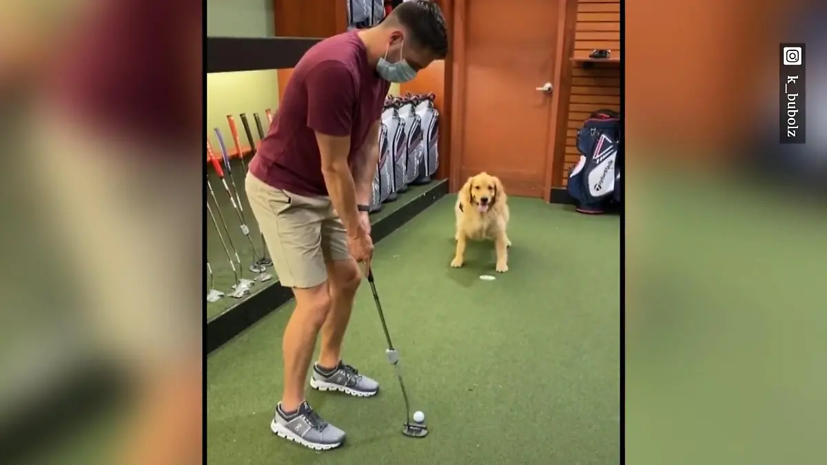 Golden-Retriever-Dame ist ein echtes Golf-Ass Unschlagbares Duo