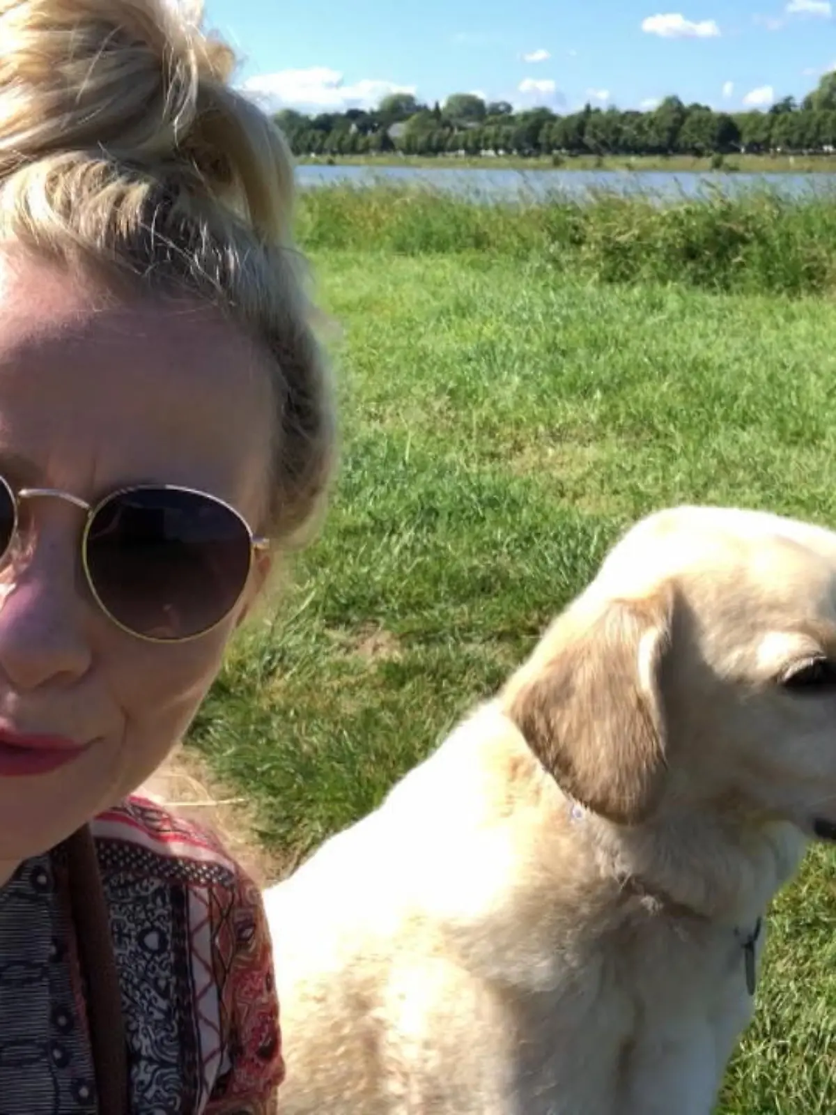 Bild zu: "Reportertest: Wie schütze ich Hunde vor Hitze"