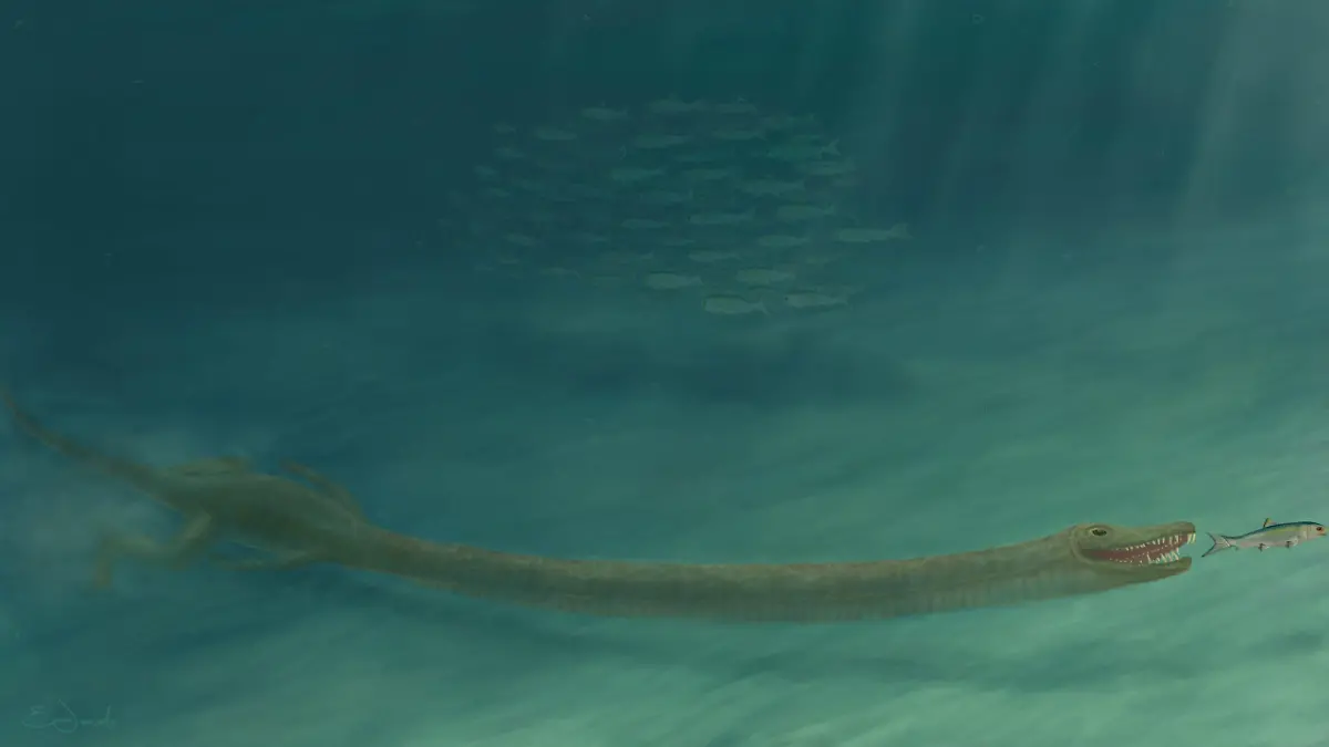 Ist DAS das sagenumwobene Loch-Ness-Monster?
