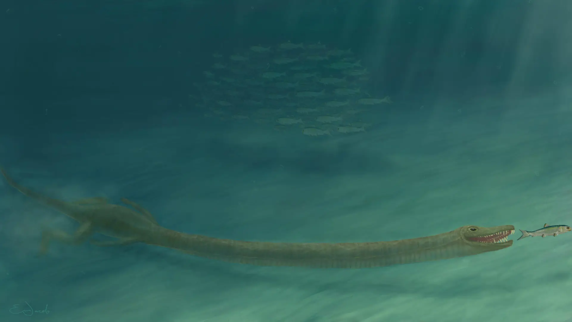 Ist DAS das sagenumwobene Loch-Ness-Monster?