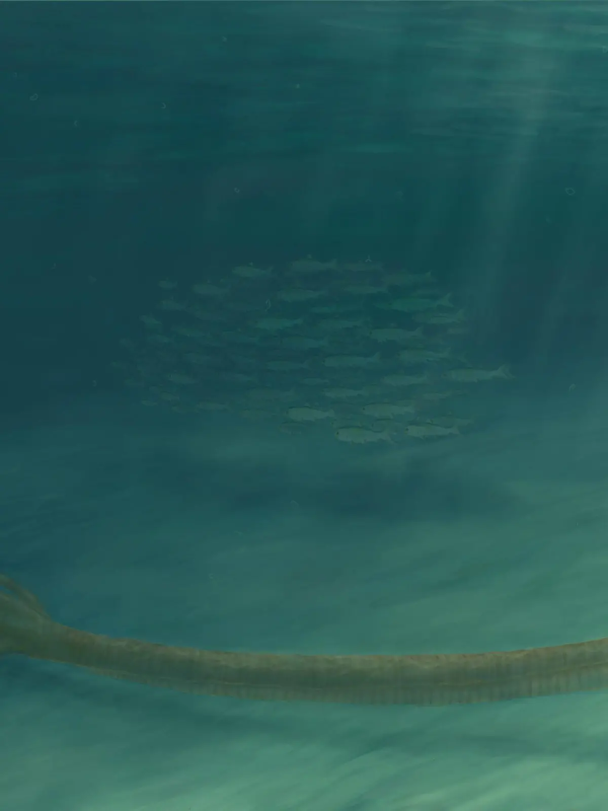 Ist DAS das sagenumwobene Loch-Ness-Monster?