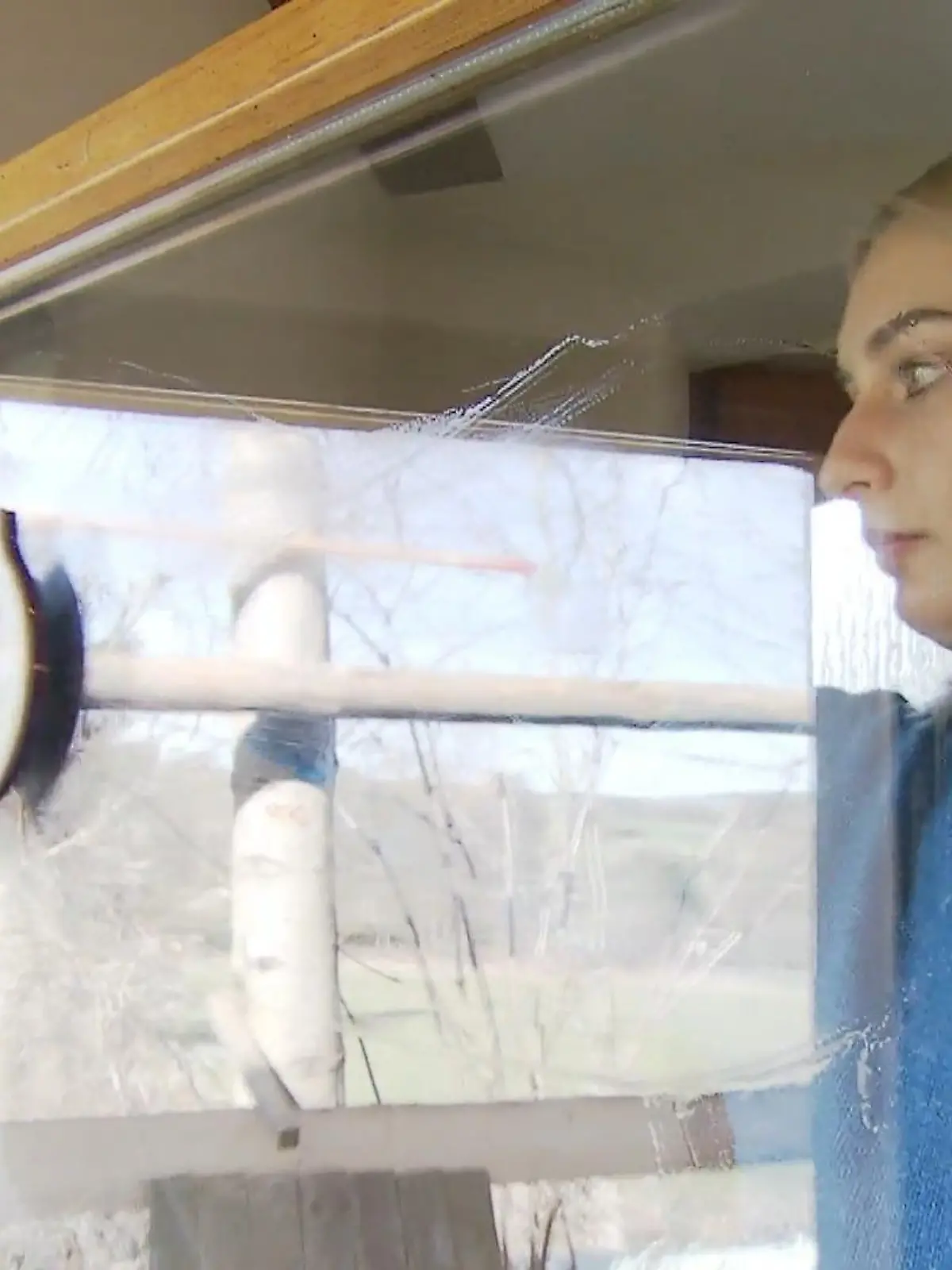 Auch wenn die Sonne sich noch nicht so richtig durchsetzen kann: Der Frühling steht vor der Tür - und mit ihm auch der Frühjahrsputz. Vor allem die Fenster wollen nach den langen Wintermonaten mal wieder auf Vordermann gebracht werden. Denn wenn die Sonne da ist, wollen wir ihr nicht den Weg versperren. Leider eine sehr nervige Aufgabe, die aber ganz einfach von der Hand gehen kann. Denn im Netz gibt es eine Reihe von Helfern, die tolle Putz-Ergebnisse liefern sollen: Magnetische Fensterputzer, Putzroboter und Akku-Fenstersauger. Ob die aber wirklich etwas taugen, hat unsere Reporterin Lea Ortmann für Sie im Video getestet.