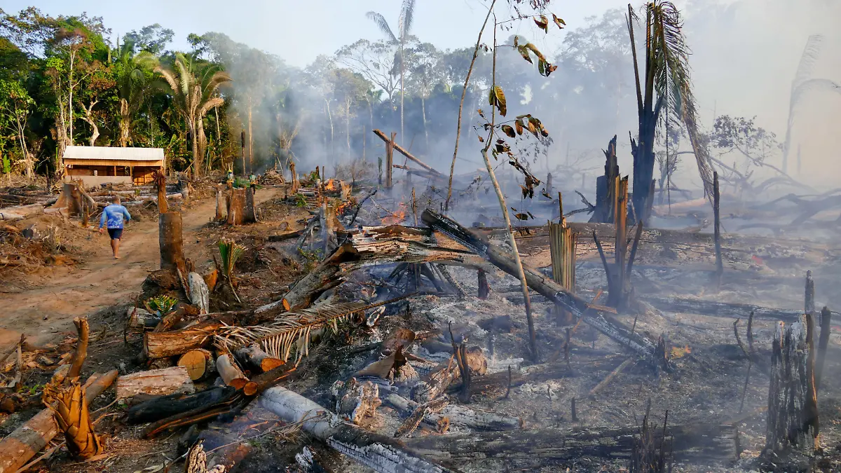 LBREA, AM - 07.08.2020: QUEIMADAS EM LBREA NO AMAZONAS - Deforested and burnt area in the municipality of Lbrea AM, in the south of the Amazon, this Friday afternoon 7. x1947350x PUBLICATIONxNOTxINxBRA SandroxPereira