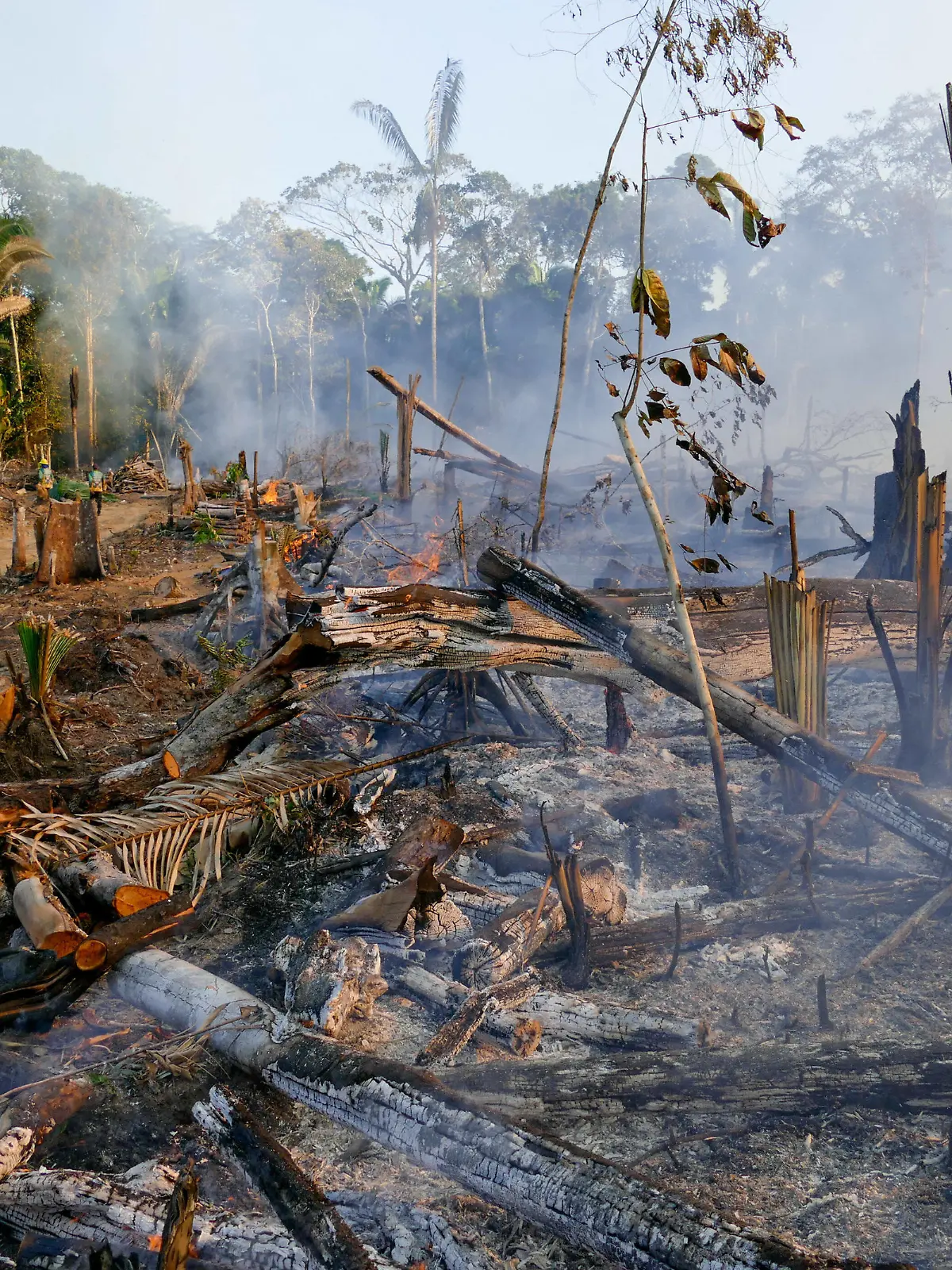  LBREA, AM - 07.08.2020: QUEIMADAS EM LBREA NO AMAZONAS - Deforested and burnt area in the municipality of Lbrea AM, in the south of the Amazon, this Friday afternoon 7. x1947350x PUBLICATIONxNOTxINxBRA SandroxPereira
