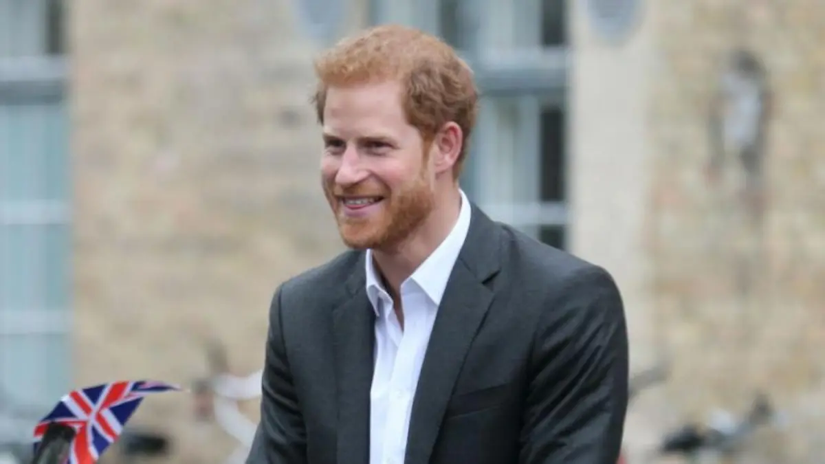 Prinz Harry: Social Media-Reform!