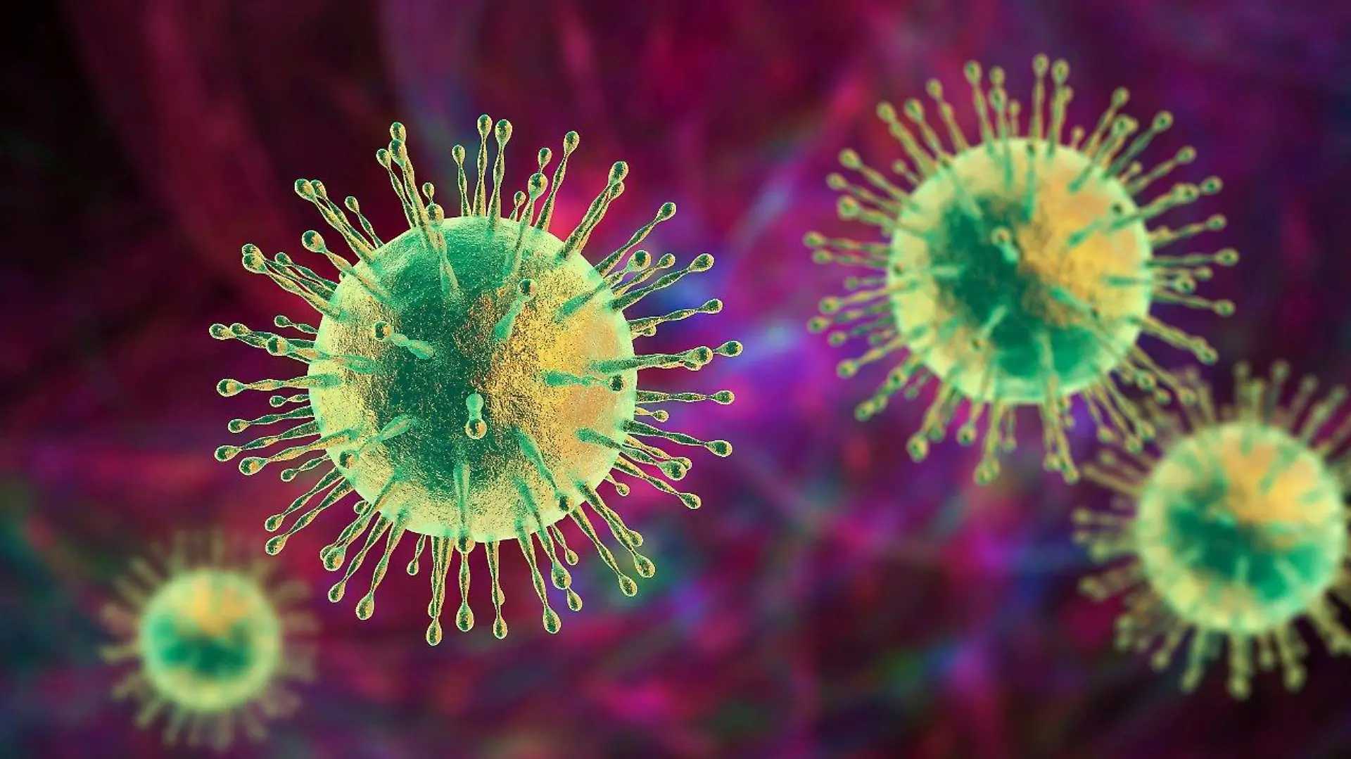 Coronavirus