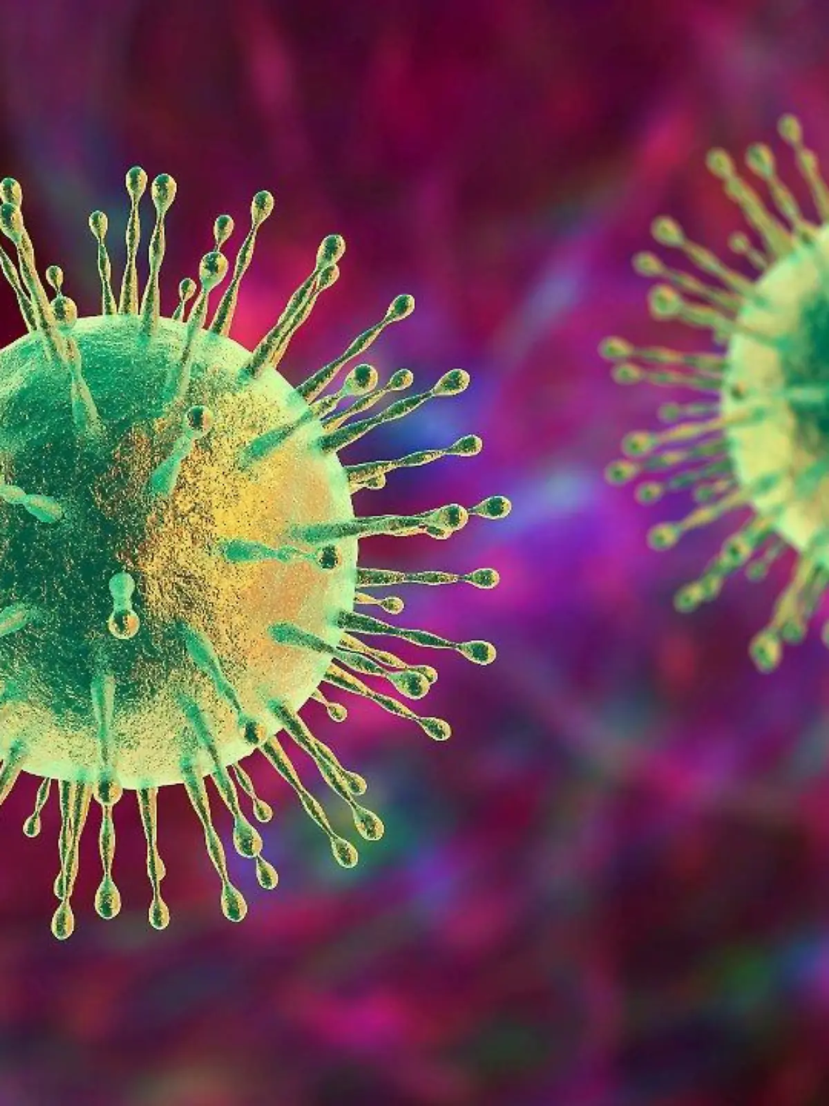 Coronavirus