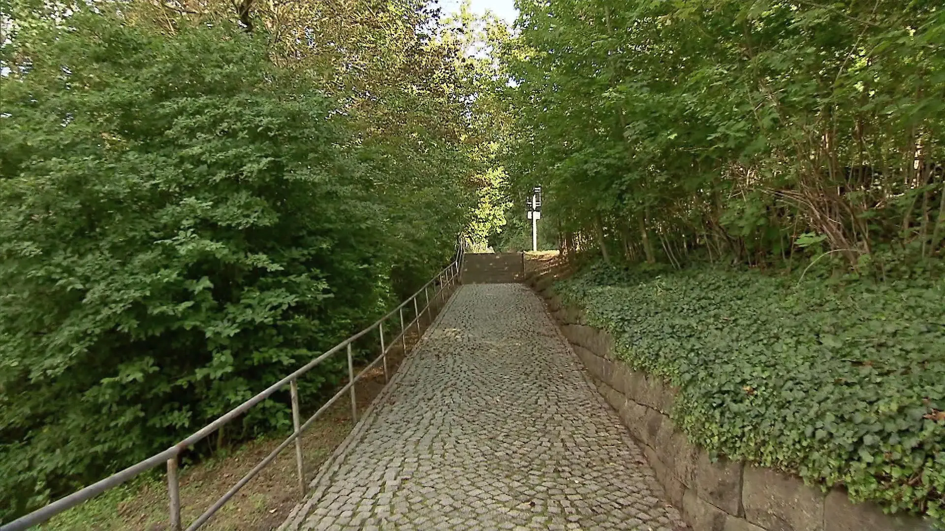 Weg im Schlosspark