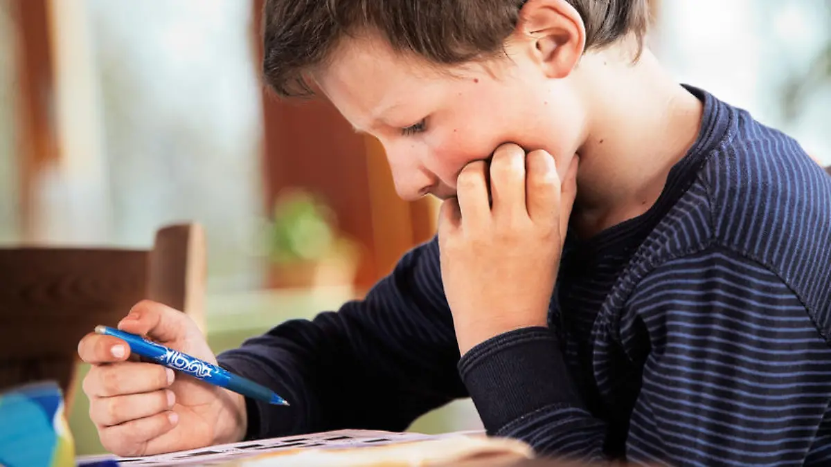 kind junge schule lernen hausaufgaben Fotolia 40385303 S.jpg