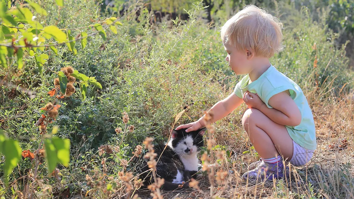 Katze und Kleinkind in der Natur
