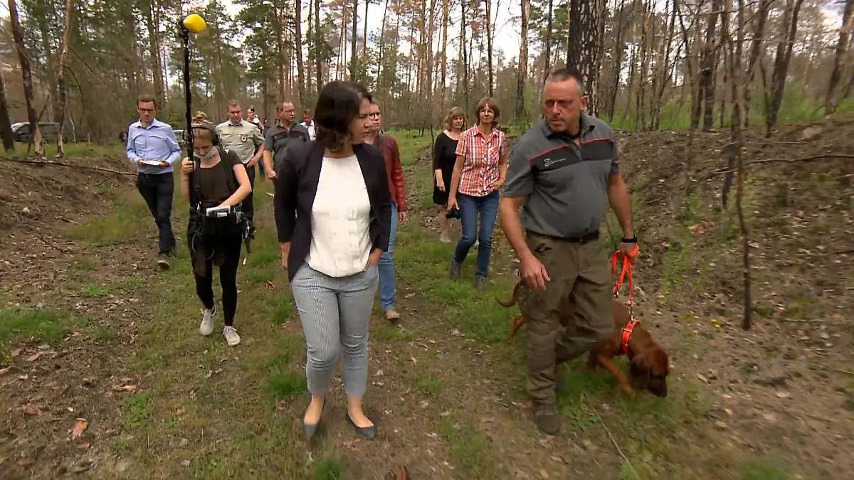 Baerbock wills wissen: Detailverliebt wie die Kanzlerin? Unser Reporter hat sie im Wald begleitet