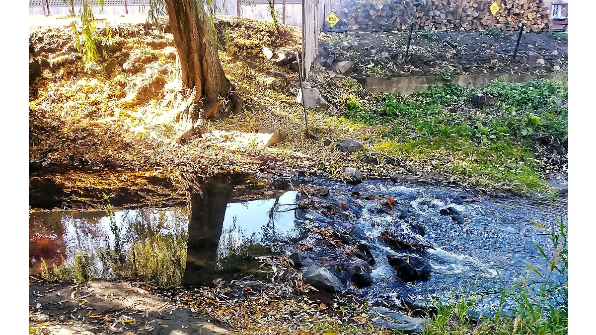 Ein Bild? Zwei Bilder? Oder sogar vier? Dieses Bild verwirrt die Reddit-Nutzer.