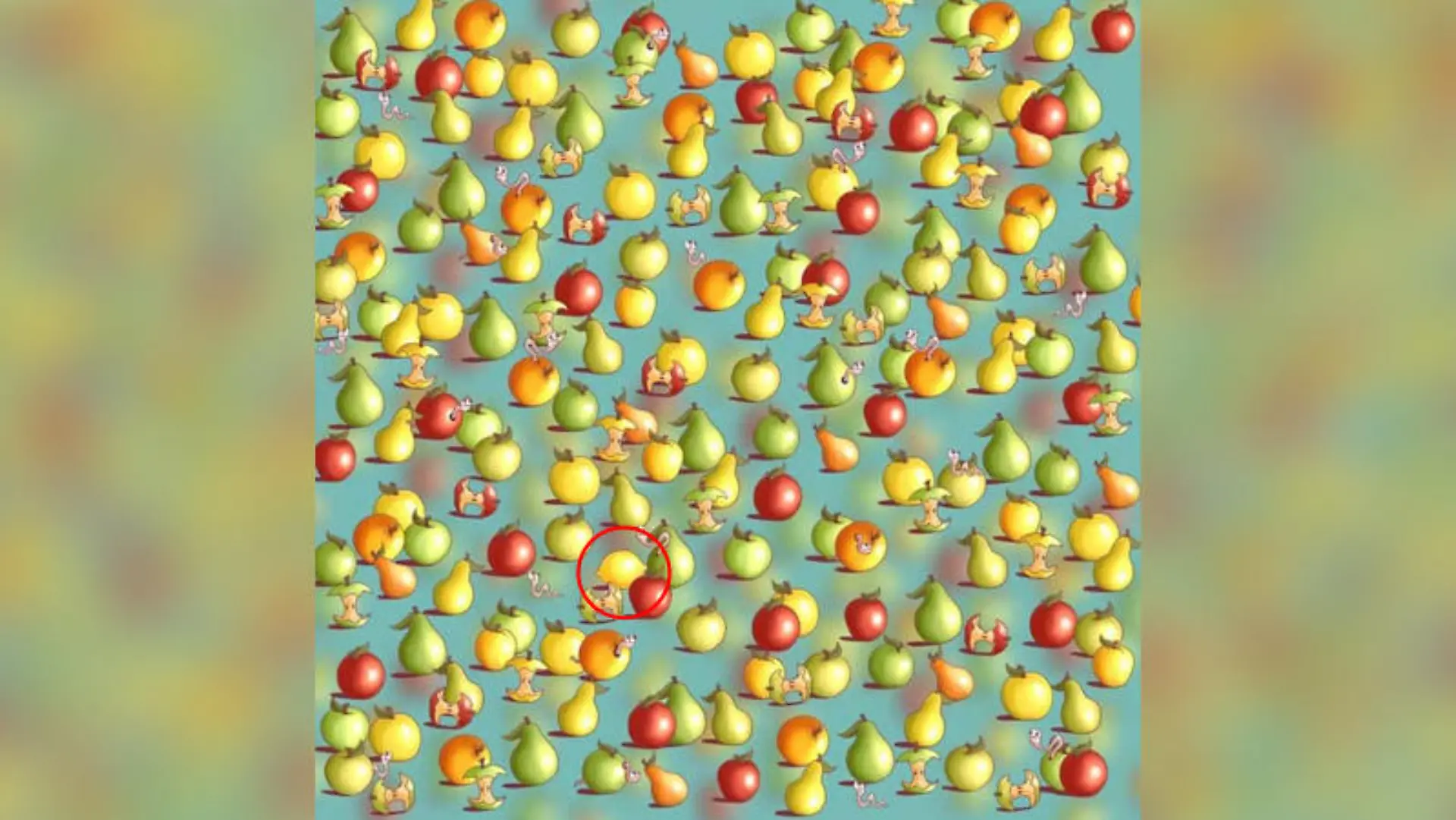 Auf dem Bild sieht man viele Äpfel und Birnen und dazwischen versteckt eine Zitrone, die rot umkreist ist.