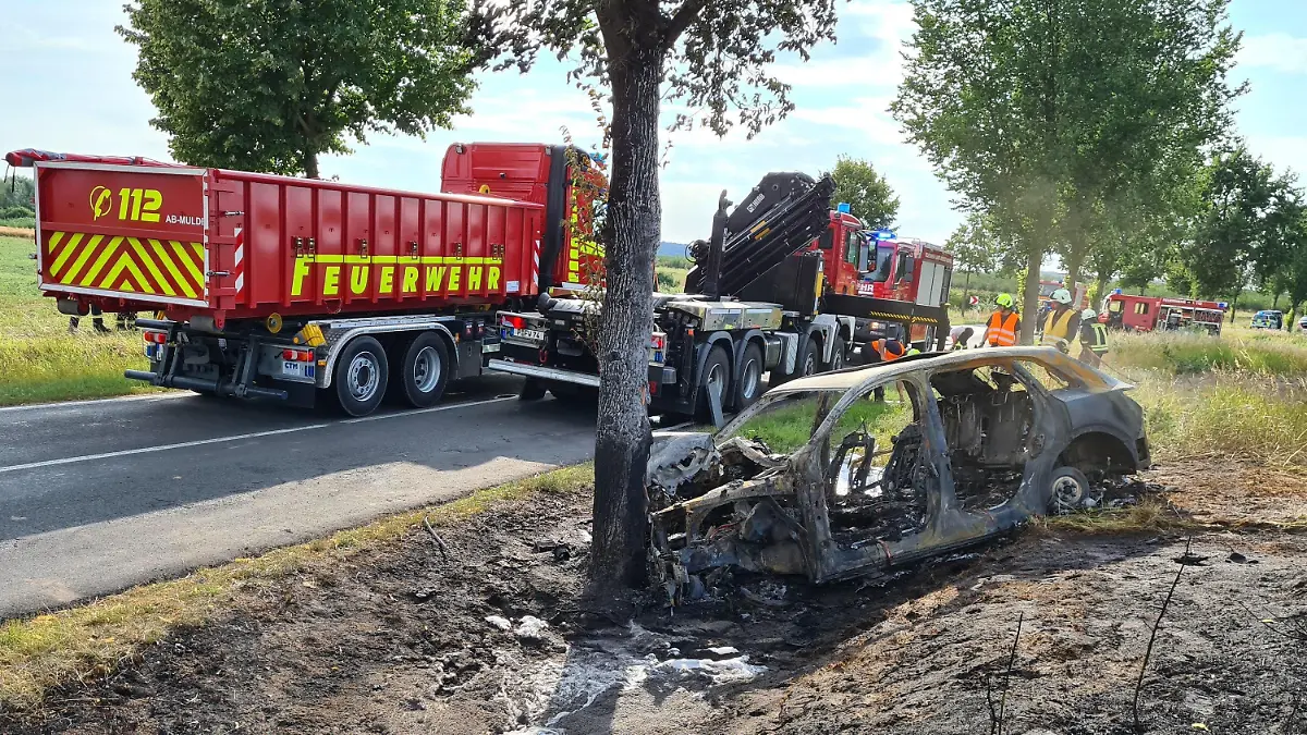 28.07.2020, Brandenburg, Groß Kreutz: Das ausgebrannte Unfallwrack eines Autos steht an einem Baum. Eine junge Fahrerin ist in Groß Kreutz bei Potsdam mit dem Auto gegen einen Baum geprallt und darin verbrannt. Es sei schwierig gewesen, die Frau in dem Elektroauto zu bergen, sagte ein Polizeisprecher. Feuerwehrleute hätten versucht, mit dem Kühlen von Akkus zu verhindern, dass die Batterien in dem Fahrzeug explodieren. (zu dpa «Fahrerin fährt gegen Baum und verbrennt im Auto») Foto: Julian Stähle/dpa-Zentralbild/dpa +++ dpa-Bildfunk +++
