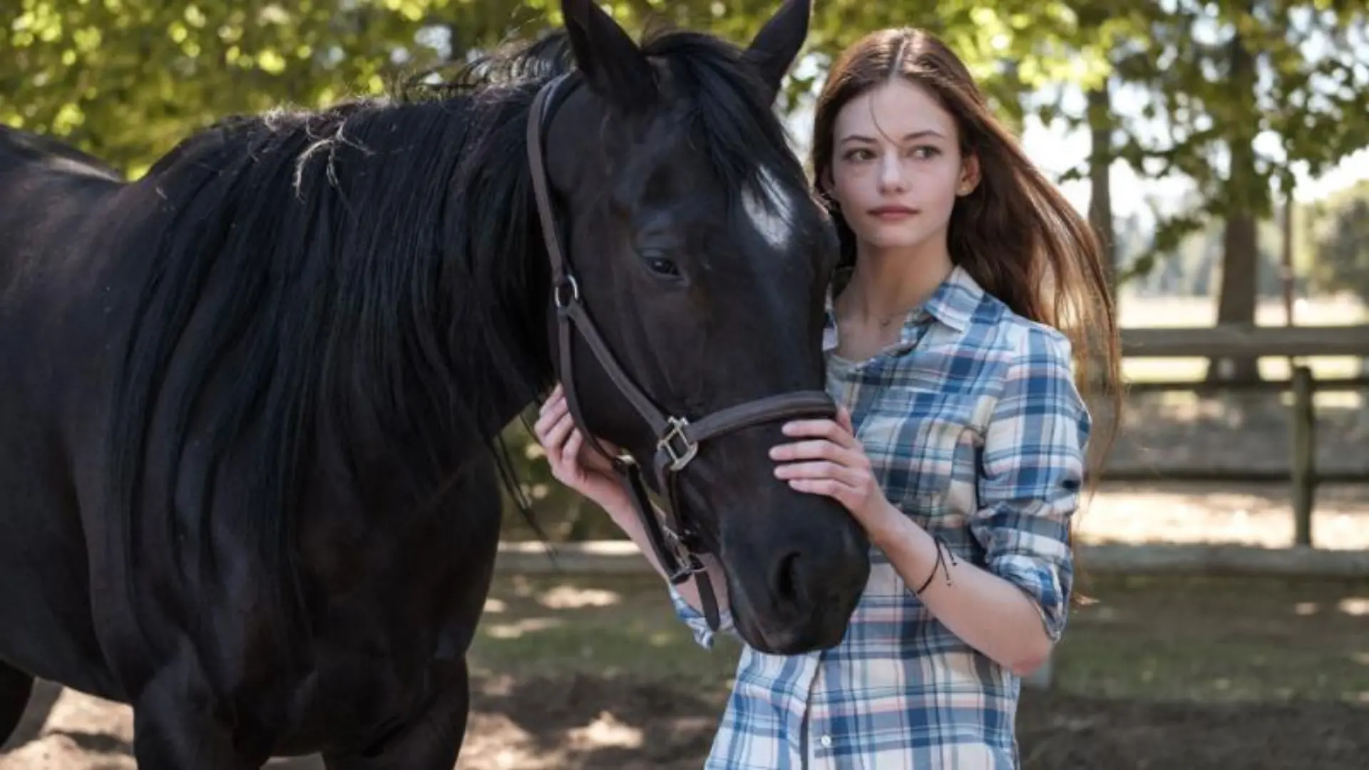 'Black Beauty' kommt zu Disney+
