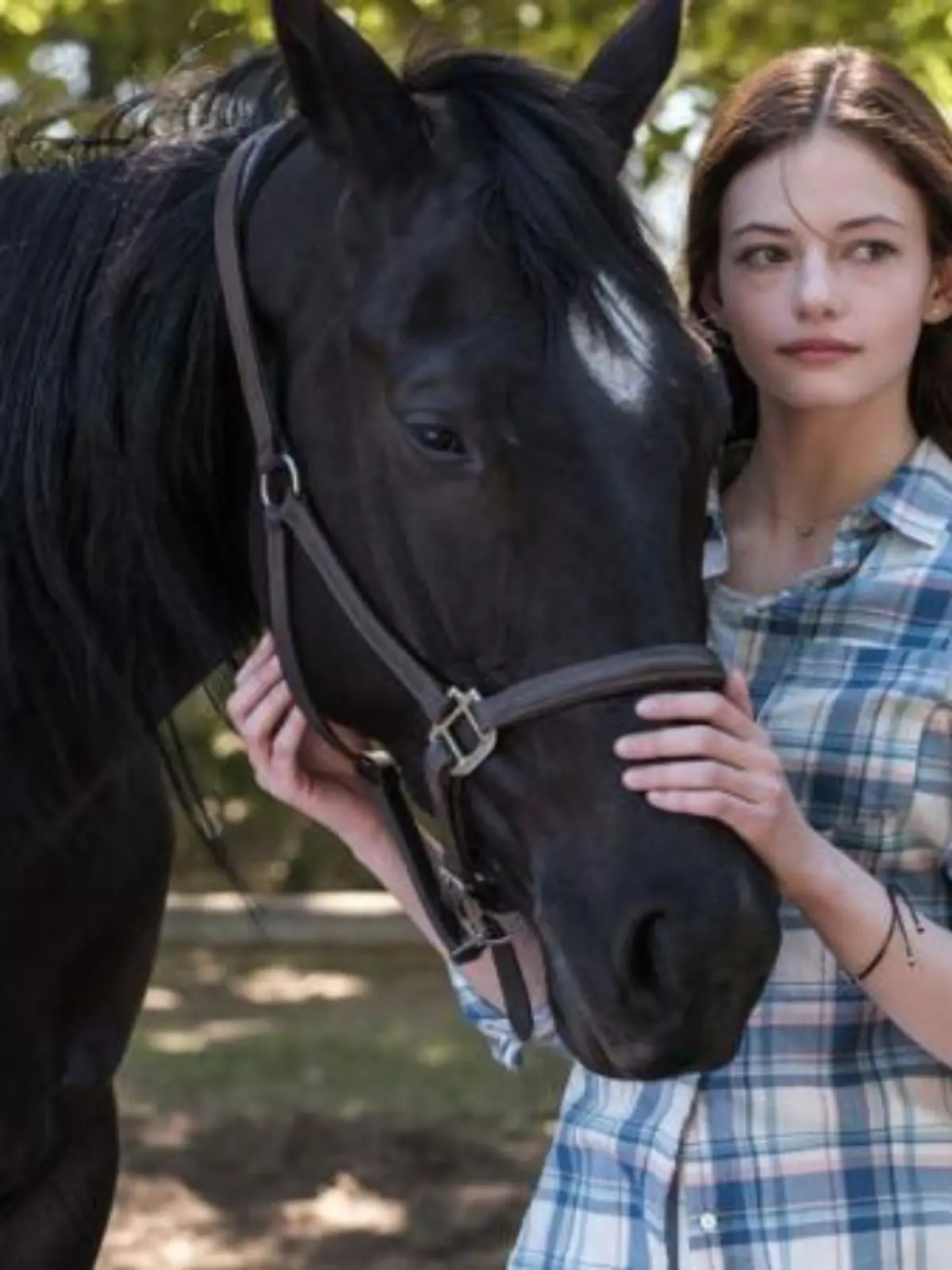 'Black Beauty' kommt zu Disney+