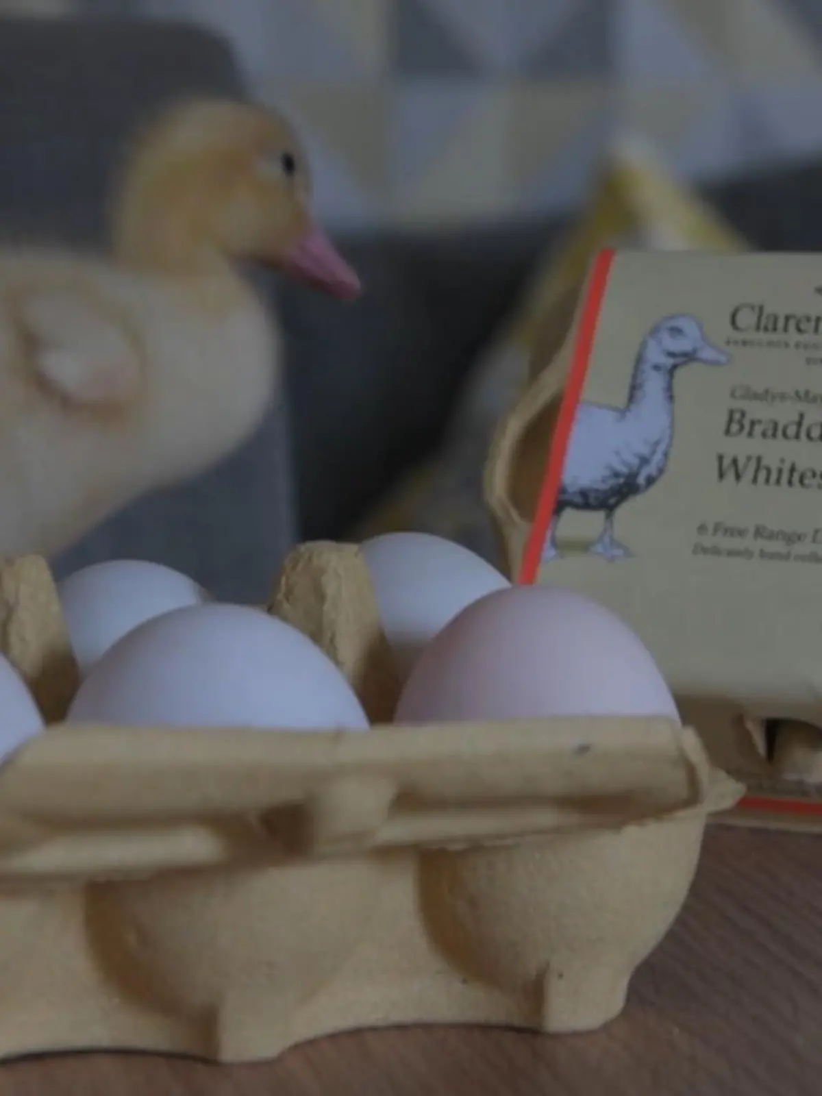 Die 26-jährige Lauren Barton wagt ein Experiment. Sie besorgt sich einen Brutkasten und Enten-Eier aus dem Supermarkt, die sie 28 Tage warm stellt. Was dabei herausgekommen ist, präsentieren wir im Video. Aber Vorsicht - es wird super süß!